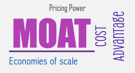 Understanding Economic Moats